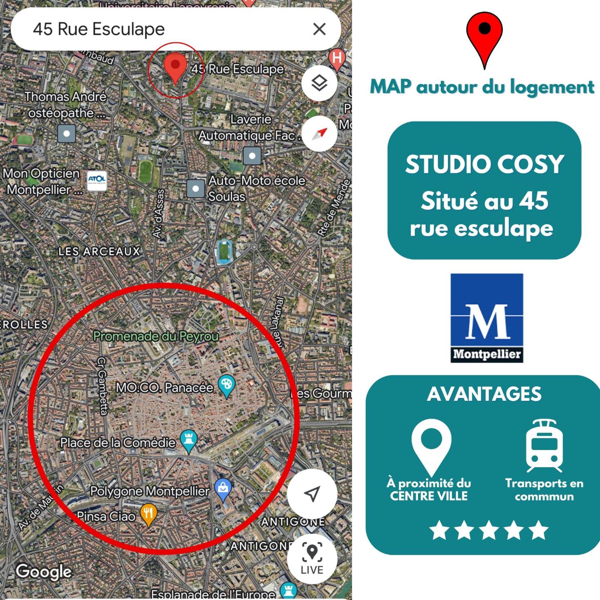 Cosy Studio Hopitaux-Facultes Leilighet Montpellier Eksteriør bilde
